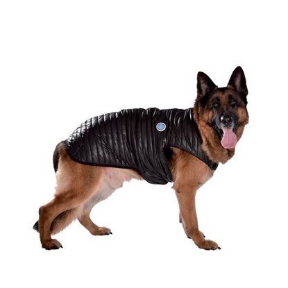 Picture of Large Puffy Dog Coat